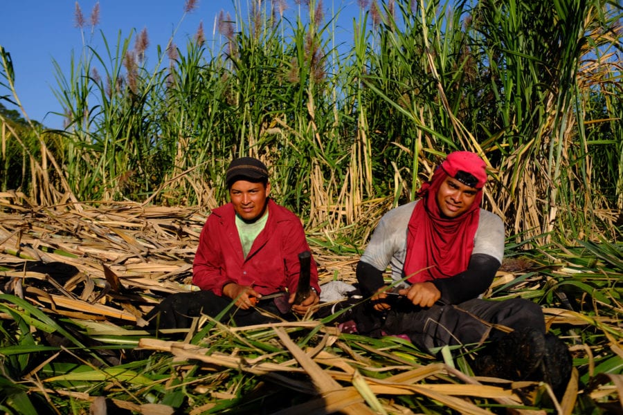 El Salvador, sugar cane workers, worker rights, Solidarity Center