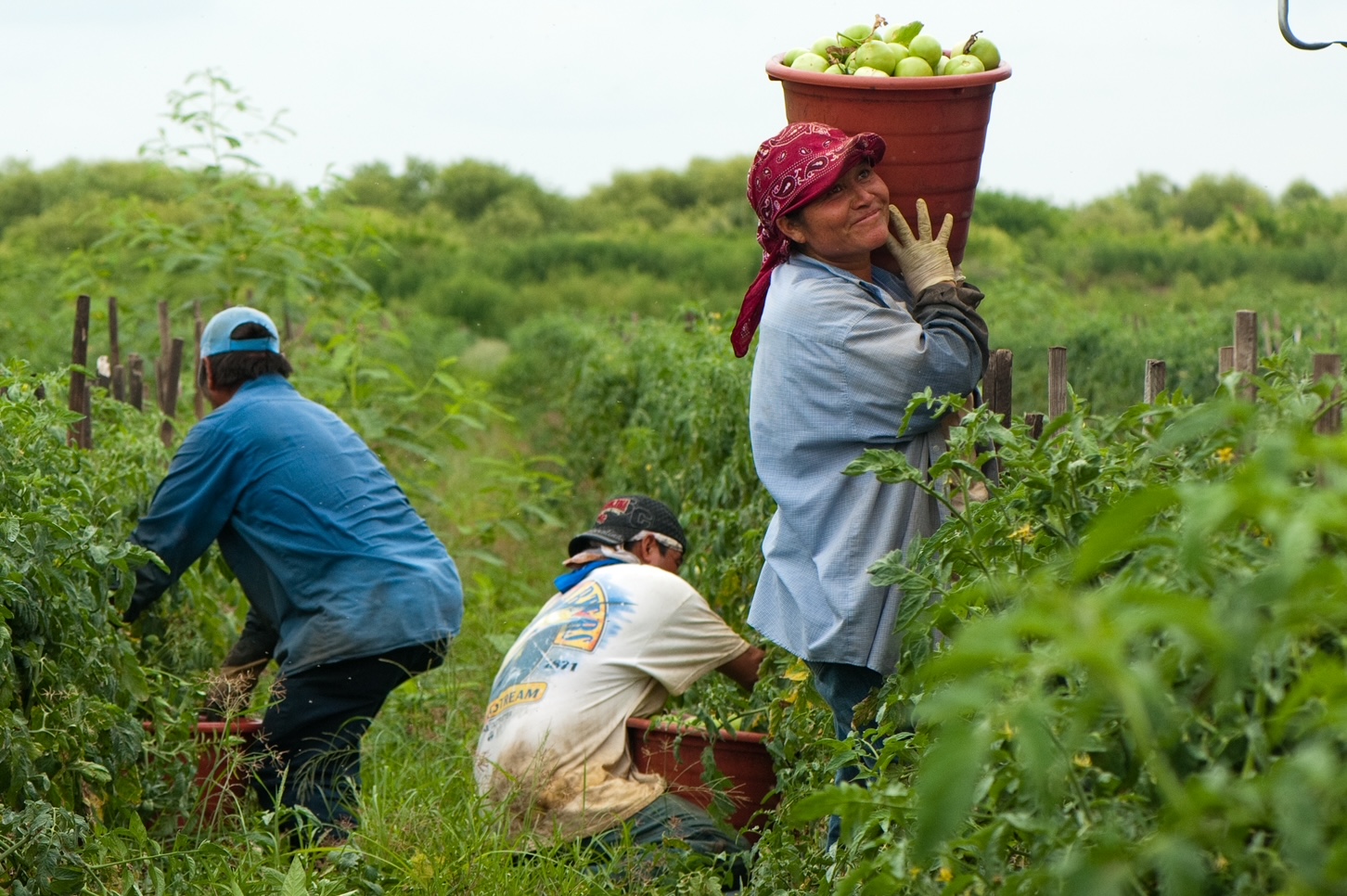 Wage Theft And Migrant Workers Access To Justice Solidarity Center