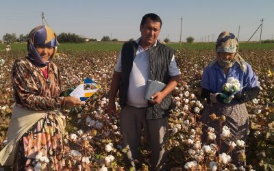 Protecting Labor Rights in Uzbekistan’s Cotton Sector