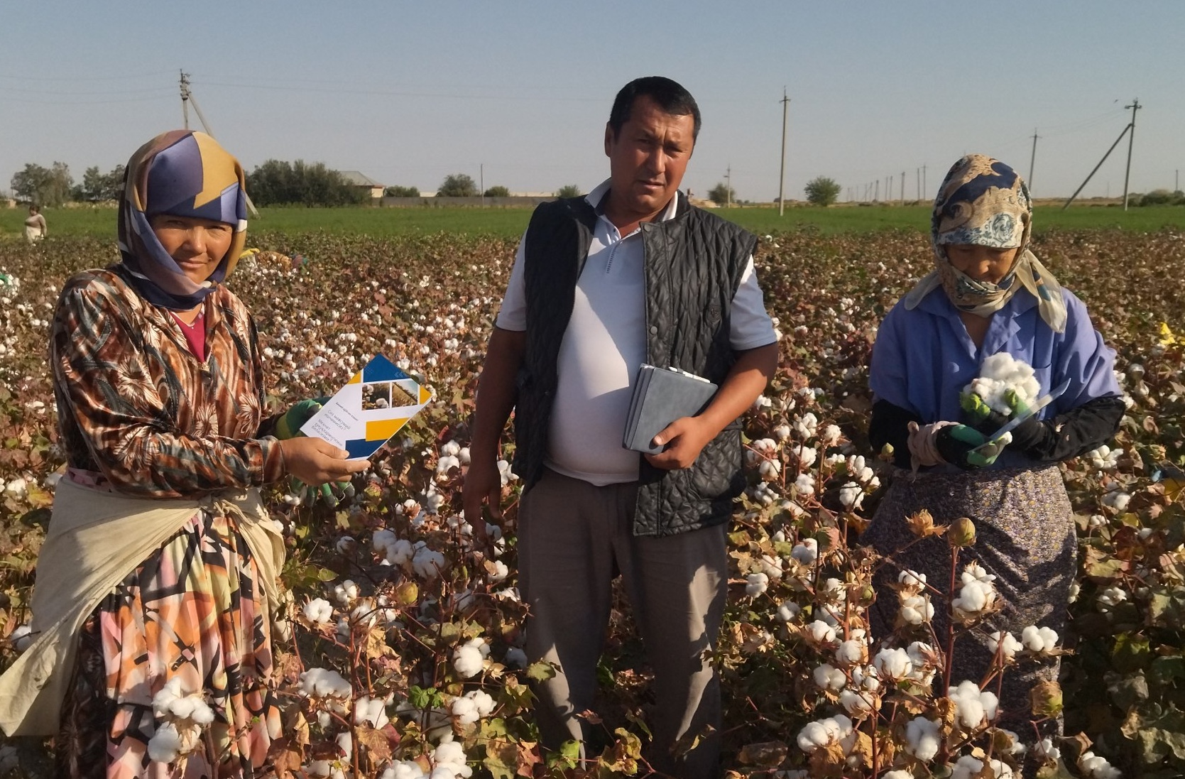 Protecting Labor Rights in Uzbekistan’s Cotton Sector